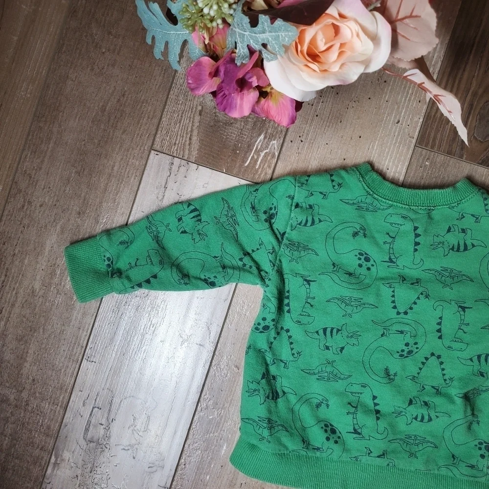Carter's Green T-Rex Dinosaur Fleece Pullover Sweatshirt Boys Size 18m EUC